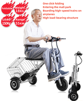 Tricycle électrique pliable à 3 roues avec batterie au lithium sans balais, scooter pour seniors 250W 36V, mini, léger, avec panier et batterie amovible