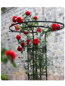 Soporte Redondo de Hierro para Plantas, 110x28x75 cm, Resistente, para Jardín Exterior - Product Image 2