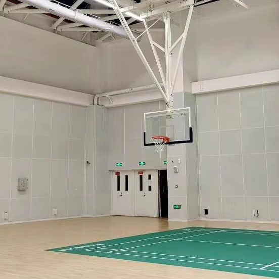 Outdoor/School Use Tempered Glass Backboard Basketball Hoops With Steel Frame Eco-Friendly Green Portable Stand