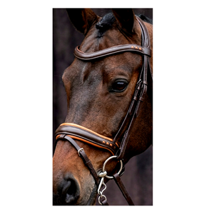 Bridon anatomique équestre haut de gamme en cuir souple avec nezier et frontal tressés - Product Image 2