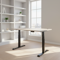 Bureau debout électrique automatique moderne et durable avec tiroir |   Chaise de travail ergonomique à moteur unique, réglable en hauteur, avec structure métallique, pour atelier, modèle 5
