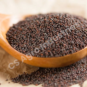 Semillas de mostaza, sabor auténtico, usos tradicionales adecuados para adobos de cocina india y creación de mezclas únicas de especias en casa - Product Image 4