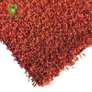 Cancha de pádel y pádel profesional Césped artificial 12mm Superficie de deportes al aire libre ignífuga ecológica - Product Image 2