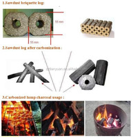 Machine à briquettes de sciure de charbon de bois Tianyuan, machine à briquettes de son de riz avec moteur AC, capacité de 80 à 150 kg/h pour le combustible de barbecue