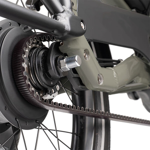 LEWEE Tricycle électrique cargo 36V 13.4 <span class=keywords><strong>Ah</strong></span>/500Wh Double Batteries Lithium 11 vitesses Vélo électrique pour Mid Adult - Product Image 6