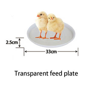 Plato <span class=keywords><strong>de</strong></span> Alimentación <span class=keywords><strong>de</strong></span> Alta Calidad para <span class=keywords><strong>Pollos</strong></span>, Bandeja para Comederos <span class=keywords><strong>de</strong></span> Aves <span class=keywords><strong>de</strong></span> <span class=keywords><strong>Corral</strong></span>, Plataforma para Pollitos <span class=keywords><strong>de</strong></span> un Día, Bandeja <span class=keywords><strong>de</strong></span> Inicio para Alimentación - Product Image 6
