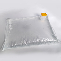 Pochettes transparentes à bec verseur imprimées par gravure pour jus et boissons, sacs aseptiques Bag-in-Box 5L 20L 220L avec bouchon anti-fuite