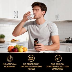 OEM/ODM Shilajit Extract Capsules Immuunversterker Immuunondersteuning Himalaya Shilajit Capsules Natuurlijke Kruidensupplementen - Product Image 3