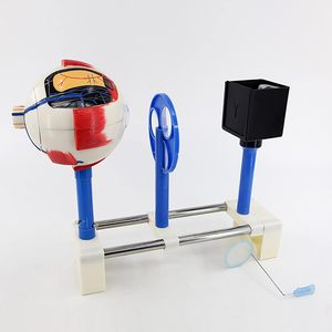 Modèle d'imagerie de l'œil, modèle éducatif de <span class=keywords><strong>formation</strong></span> de l'image oculaire pour l'affichage éducatif ou la communication avec les patients - Product Image 4