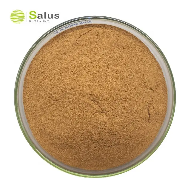 Factory Provide Polysaccharide 30% Lions Mane Mushroom Extract