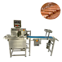 Température réglable 15--15 ℃    Enrobeuse de chocolat double couche compacte avec ventilateur de refroidissement pour framboises surgelées