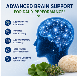 120 Capsules Brain Complex Plus – Mélange Nootropique Multi-Plantes pour la Mémoire, la Concentration, la Clarté Mentale <span class=keywords><strong>et</strong></span> <span class=keywords><strong>l</strong></span>'Équilibre Sain du Stress Quotidien - Product Image 4