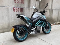 Motocicleta Usada NK250 de 250cc, Gasolina, Estilo Naked, Buen Estado, Bajo Kilometraje, para Desplazamientos Urbanos y Conducción Deportiva, >180km/h, Jiangsu Global