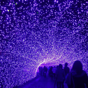 Kit d'éclairage <span class=keywords><strong>LED</strong></span> <span class=keywords><strong>ciel</strong></span> <span class=keywords><strong>étoilé</strong></span> pour <span class=keywords><strong>plafond</strong></span> et fibre optique pour décoration automobile - Product Image 1