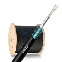 Cable de Fibra Óptica Monomodo Aéreo GYXTW para Exteriores, 24 Núcleos, G.652D, con Cubierta de PE, Garantía de 10 Años, 3 km/rollo