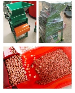 Macchina Decorticatrice per Arachidi, Macchina per Sgusciare e Pelare Noci <span class=keywords><strong>di</strong></span> Arachidi - Product Image 6