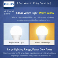 Bombilla LED de Plástico A60, AC/DC 12V-48V, 10W/12W, Luz Blanca Cálida/Diurna, Base E27/B22, para Decoración del Hogar y Oficina