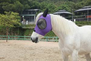 หน้ากากบินม้าสำหรับม้าที่มีหูหน้ากากบินม้าแบบกำหนดเอง - Product Image 6