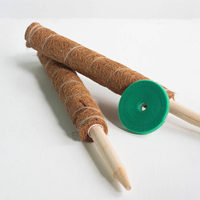 Poteau de mousse extensible en fibre de coco, support de plante, tuteur pour plantes grimpantes, bâtons de culture en coco pour plantes d'intérieur et d'extérieur