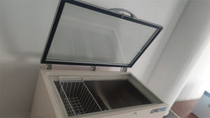 2024新しいガラスドアDW-55W270G水平超低シーフードチェスト冷凍庫スーパーマーケットチェストディープフリーザー収納魚用 - Product Image 6