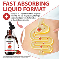 SOLOTREE 60ml Gouttes liquides de berbérine végétaliennes sans alcool, soutien immunitaire et digestif, supplément d'extrait de berbérine pour hommes et femmes