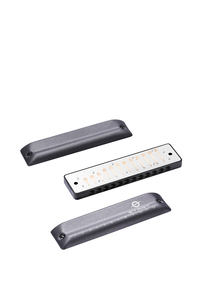 FEIFAN alta calidad 12 agujeros armónica diatónica estilo <span class=keywords><strong>blues</strong></span> <span class=keywords><strong>para</strong></span> niños y principiantes armónica - Product Image 5