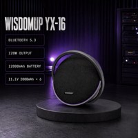Enceinte portable sans fil 120W avec basses puissantes pour la musique en extérieur