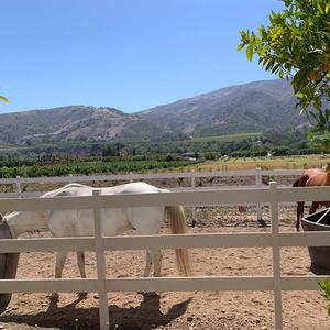 <span class=keywords><strong>3</strong></span> đường sắt trắng <span class=keywords><strong>PVC</strong></span> ngựa hàng rào dễ dàng lắp ráp cho trang trại trang trại - Product Image 3