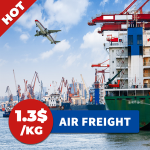 Agente de Transporte Marítimo y Aéreo Puerta a Puerta, Agente de Envíos de China a EE. UU., Europa, Francia, Canadá, Reino Unido, Alemania, Japón - Product Image 6