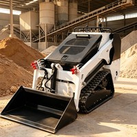 Pour les petites tâches de terrassement, la mini-chargeuse compacte atteint une efficacité opérationnelle élevée sous une pression de travail inférieure à 20 MPa