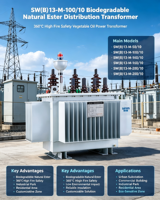 Transformador de Distribución Sumergido en Aceite, Clase F, Aislamiento S13-M (F), Alta Sobrecarga, Totalmente Sellado, 100kVA 10kV