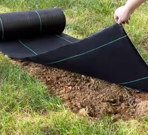 PP dệt phim PE che phủ mặt đất Net Weed Mat cuộn chống cỏ và cỏ dại vải rào cản phim - Product Image 2