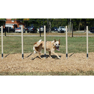 Campo de parque canino - Product Image 4