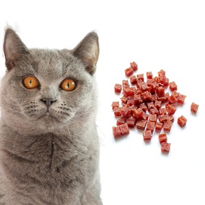 Snack per Animali Domestici OEM ODM Direttamente dalla Fabbrica, Carne Secca, Alimenti per Animali ad Alto Contenuto Proteico, Prelibatezze per Cani e Gatti, Pellet di Carne d'Anatra e Insetti per Ingrossare le Guance - Product Image 1