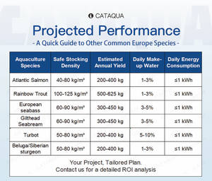 อุปกรณ์เพาะเลี้ยงสัตว์น้ำแบบ RAS สำหรับปลากะพง ปลากะพงขาว ปลาแบน  ออกแบบเพื่อการเกษตรที่มีประสิทธิภาพ ควบคุมอุณหภูมิขั้นสูงตามมาตรฐานยุโรป CE - Product Image 4