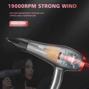 Secador de Pelo Profesional Dsp de 2000w con Tecnología Iónica y Motor AC para Uso Doméstico y Profesional - Product Image 2