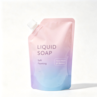 Pochette souple rechargeable haut de gamme avec bec verseur latéral de 0,86 cm et bouchon à vis pour emballages de savon liquide