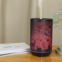 Diffuseur d'huiles essentielles ultrasonique décoratif en fer de la série Iron avec lumière LED