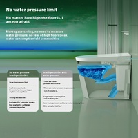 Offre Spéciale salle de bain WC toilette intelligente allongée au sol bol en céramique automatique bidet articles sanitaires intelligents
