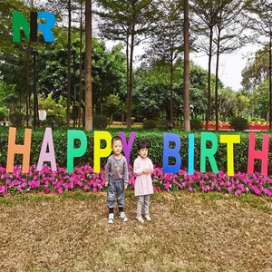 Panneau de jardin Joyeux Anniversaire avec lettres et piquets, service de découpe personnalisé, cartes extérieures élégantes - Product Image 1