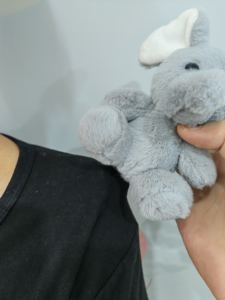 Brinquedo de Pelúcia Dinossauro Magnético Personalizado em Promoção, Preenchido com PP, Ideia de Presente Perfeita - Product Image 6