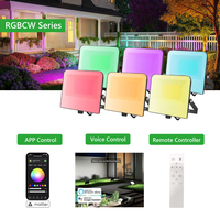Lámpara Proyector LED de Alta Luminosidad, Impermeable IP65, 50W-300W, para Exteriores y Almacenes