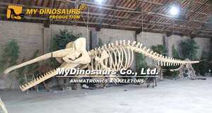 Il mio Dino parco acquatico a grandezza naturale dello scheletro di capodoglio animale in vendita - Product Image 6