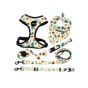 Ensemble de harnais pour chien, collier et laisse personnalisés - Product Image 3