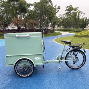 Micro-entreprises <span class=keywords><strong>petit</strong></span> tricycle de crème glacée/vélo de crème glacée électrique à 3 roues vélos e-<span class=keywords><strong>cargo</strong></span> - Product Image 3