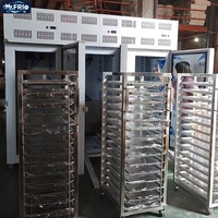 Congélateur-chiller industriel commercial Mr. Frio -45°C en acier inoxydable AISI 304, à deux portes, refroidissement par air, 8250W Tecumseh