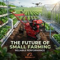 Mini-motoculteur multifonctionnel pour le desserrage du sol, le creusement de fossés et le labour profond sur les terres agricoles et dans les vergers