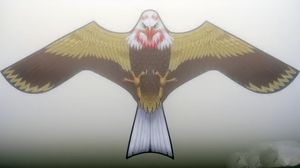 Offre Spéciale nouveau Design efficace aigle épouvantail oiseau répulsif oiseau effaroucheur faucon <span class=keywords><strong>cerf</strong></span>-<span class=keywords><strong>volant</strong></span> - Product Image 5