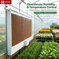 Panneau de refroidissement évaporatif durable et haute efficacité, épaisseur 10cm/15cm pour les fermes d'élevage de poulets, porcs, moutons, vaches, lapins