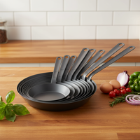 Ensemble de poêles à frire modernes en fonte antiadhésives 2L 3L avec poignée en acier inoxydable, compatibles cuisinière à gaz, ustensiles de cuisine écologiques